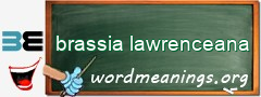 WordMeaning blackboard for brassia lawrenceana